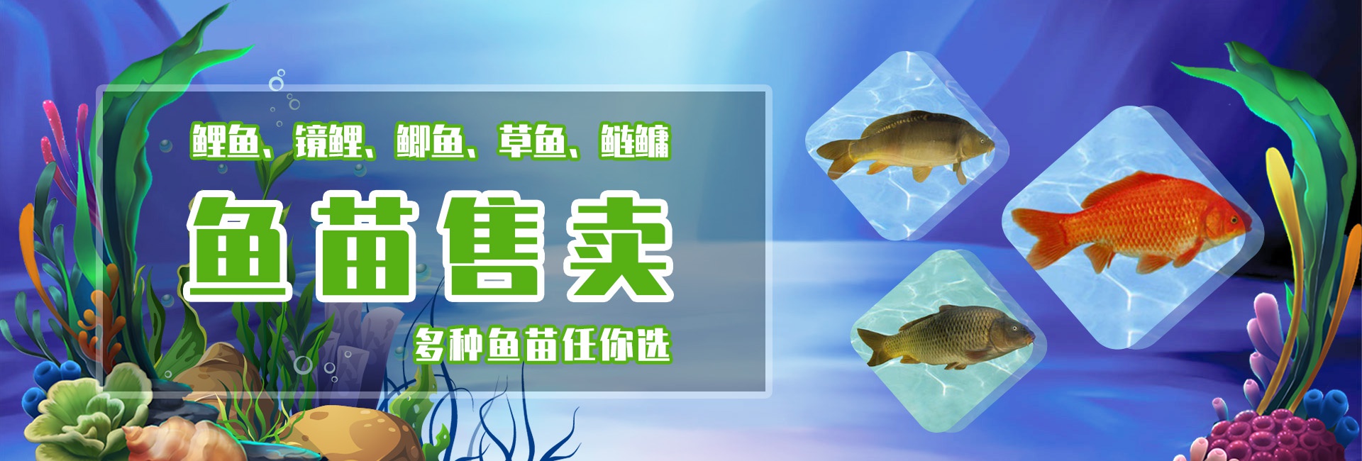 &#20048;&#23478;&#65288;&#20013;&#22269;&#65289;&#26377;&#38480;&#20844;&#21496;&#32;&#124;&#32;&#28020;&#23460;&#32;&#124;&#32;&#20048;&#23478;