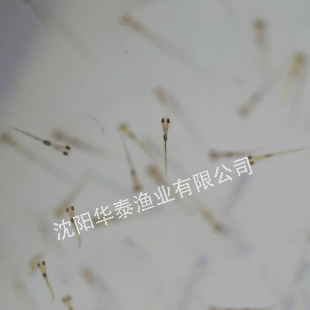 &#20048;&#23478;&#65288;&#20013;&#22269;&#65289;&#26377;&#38480;&#20844;&#21496;&#32;&#124;&#32;&#28020;&#23460;&#32;&#124;&#32;&#20048;&#23478;