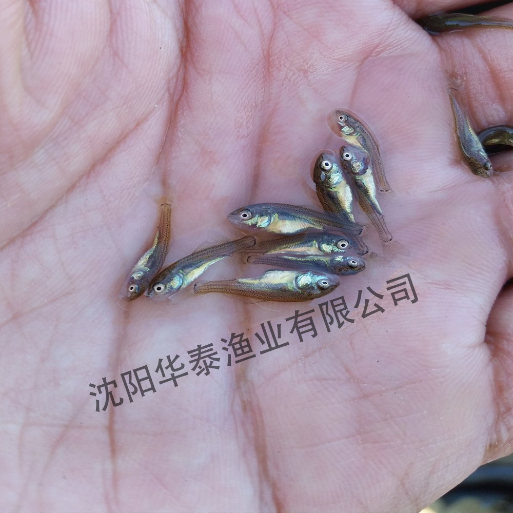 &#20048;&#23478;&#65288;&#20013;&#22269;&#65289;&#26377;&#38480;&#20844;&#21496;&#32;&#124;&#32;&#28020;&#23460;&#32;&#124;&#32;&#20048;&#23478;