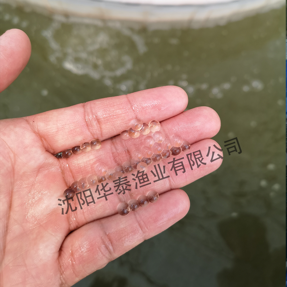 &#20048;&#23478;&#65288;&#20013;&#22269;&#65289;&#26377;&#38480;&#20844;&#21496;&#32;&#124;&#32;&#28020;&#23460;&#32;&#124;&#32;&#20048;&#23478;