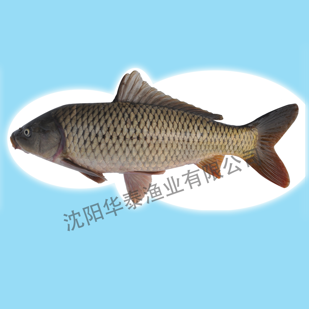 &#20048;&#23478;&#65288;&#20013;&#22269;&#65289;&#26377;&#38480;&#20844;&#21496;&#32;&#124;&#32;&#28020;&#23460;&#32;&#124;&#32;&#20048;&#23478;