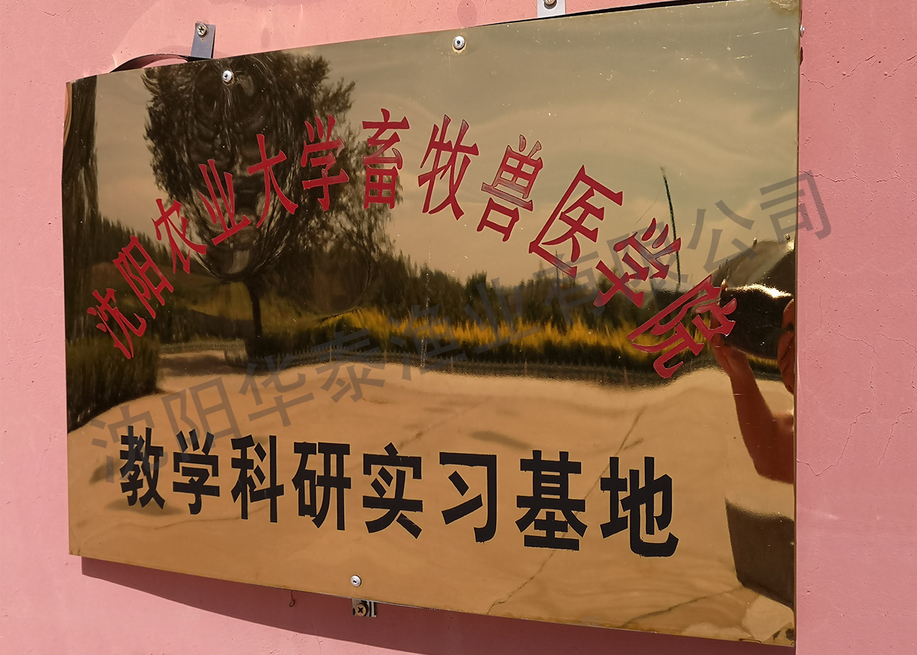 &#20048;&#23478;&#65288;&#20013;&#22269;&#65289;&#26377;&#38480;&#20844;&#21496;&#32;&#124;&#32;&#28020;&#23460;&#32;&#124;&#32;&#20048;&#23478;
